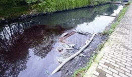 河流在线观看,探索河流之美