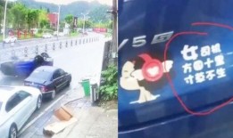 张家界司机爆料视频,揭秘景区交通乱象背后的真相