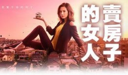 卖房子的女人在线观看,情感纠葛与人生抉择的悲喜人生