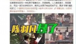 浩杰被爆料出轨视频,真相与舆论的漩涡