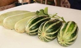 高端网红吃瓜视频大全,盘点热门吃瓜视频大全