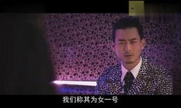 观看鸭王视频在线观看,一场颠覆传统的喜剧盛宴