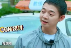 吃瓜娱乐陈泽,吃瓜娱乐界的风云人物
