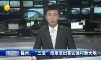 辽宁新闻爆料后续,揭秘事件真相与最新进展