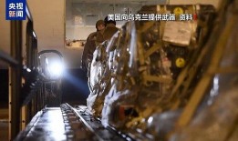 俄乌大鱼爆料视频最新版,大鱼视频揭示惊人内幕