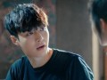 张艺兴杨紫爆料视频大全,幕后故事与精彩瞬间