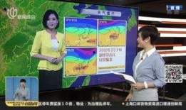 警界线 在线观看,在线观看，揭秘犯罪背后的正义之战