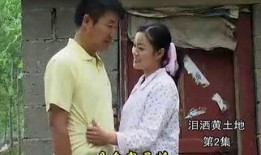 黑土地黄棉袄在线观看,探寻东北风情与岁月记忆