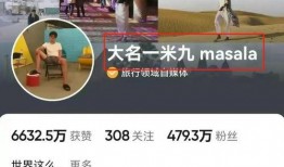 网红爆料去缅甸了吗视频,揭秘神秘国度的真实面貌