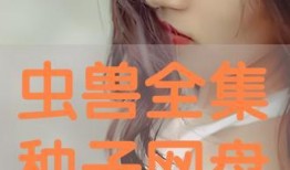 种子在线观看,探索数字时代影视新体验