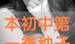 种子在线观看,探索数字时代影视新体验