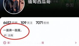 网红爆料去缅甸了吗视频,揭秘神秘国度的真实面貌