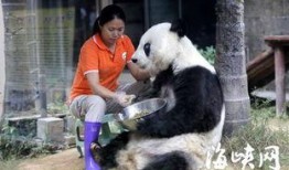 美国饲养员爆料新闻事件,背后真相令人震惊