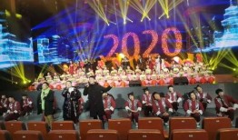 海城春晚爆料视频完整版,精彩瞬间回顾与幕后故事揭秘