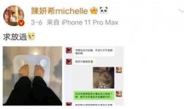 陈妍希爆料聊天视频,揭秘明星私下真实一面