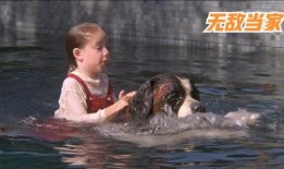 无敌当家1在线观看,萌宠奇遇记在线观看，欢乐温馨宠物冒险之旅