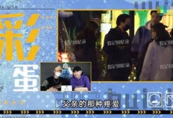 近日媒体爆料视频最新,最新媒体爆料视频背后的惊人真相