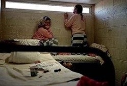 法国女子监狱在线观看,在线观看背后的真实故事