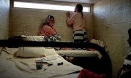 法国女子监狱在线观看,在线观看背后的真实故事