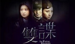 电视剧双谍在线观看