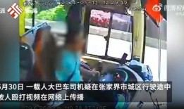 张家界司机爆料视频,揭秘景区交通乱象背后的真相