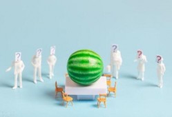 2022娱乐圈吃瓜大全,年度吃瓜大全盘点