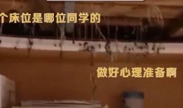 大连爆料老船长视频大全,老船长视频大全揭秘海上传奇故事