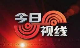 今日视线在线观看