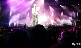 音乐节袭击幸存者爆料视频,惊魂时刻与生死瞬间