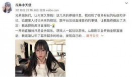 娱乐吃瓜小阿酱小说,揭秘娱乐圈背后的秘密瓜田