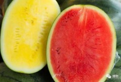 高端网红吃瓜视频大全,盘点热门吃瓜视频大全