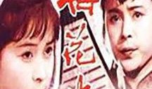 梅花巾在线观看,穿越时空的美丽传奇