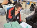 深圳快递小哥爆料视频,揭秘深圳快递行业幕后故事