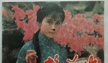 梅花巾在线观看,穿越时空的美丽传奇