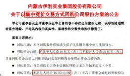 华信煤气最新爆料新闻报道,揭秘行业黑幕，真相令人震惊！