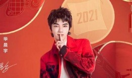 爆料华晨宇的是谁啊视频,揭秘“爆料华晨宇”视频背后的真相