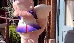 爆料偷拍女明星视频大全,揭秘娱乐圈隐私泄露事件