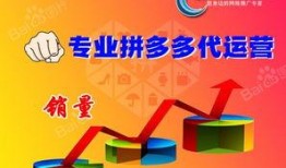 拼了在线观看,一场惊心动魄的冒险之旅