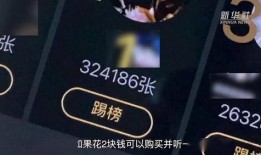 饭圈爆料音乐大全视频,揭秘热门歌手幕后故事与精彩瞬间