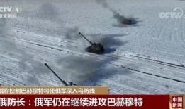 俄乌大鱼爆料视频最新版,大鱼视频揭示惊人内幕