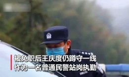 在线观看戴罪立功,在线观看，揭秘正义与救赎的较量