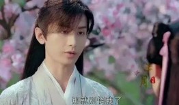 张艺兴杨紫爆料视频大全,幕后故事与精彩瞬间