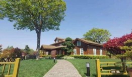 青州违建爆料最新消息查询,官方回应及整治行动全面展开