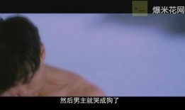 观看鸭王视频在线观看,一场颠覆传统的喜剧盛宴