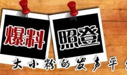 重庆大渝网新闻爆料台,揭秘本地热点事件背后的真相