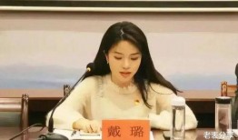 戴璐事件爆料视频播放,揭秘视频播放背后的惊人真相