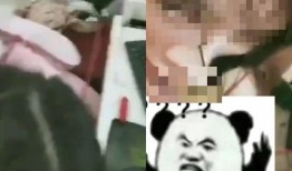 小胖子爆料遭到严惩视频,揭秘网络暴力背后的真相