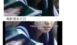 混娱乐圈只吃瓜是什么人,揭秘混迹其中的生活点滴